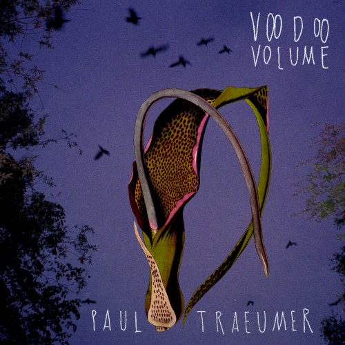 Voodoo Volume