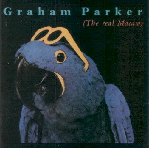 The Real Macaw