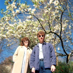 Tarmac Trees