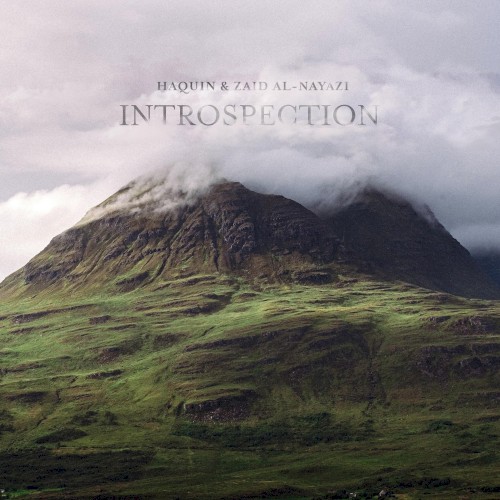 Introspection