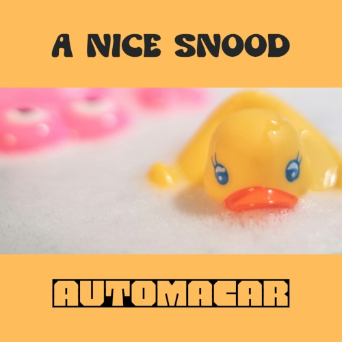 A Nice Snood