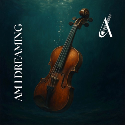 AM I DREAMING (Violin Cover)