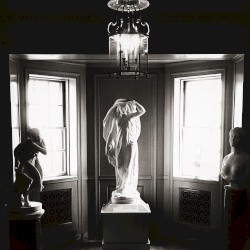 Gnosis (Answer)