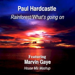 Rainforest/What's Going On (House Mix Mashup)