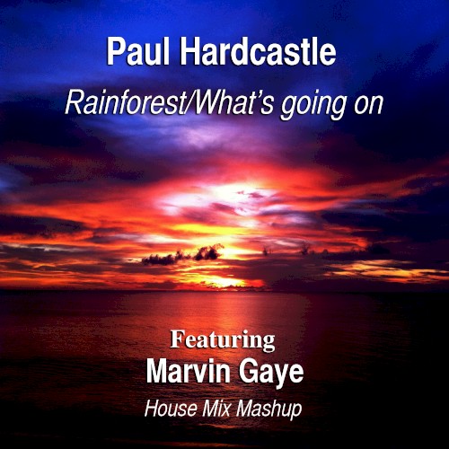 Rainforest/What's Going On (House Mix Mashup)