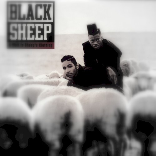 Black Sheep – The Choice Is Yours x Limbo Slice – Resolution