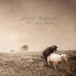 Little Grey Sheep