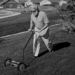 analog lawnmower
