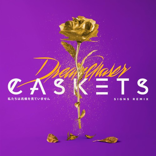 Signs (Dreamchaser remix)