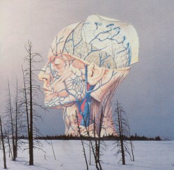 Songs for a Dead Pilot / Christmas