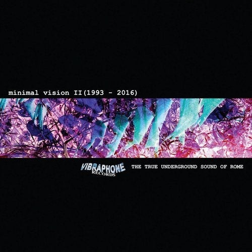 Minimal Vision II (1993-2016) / 2017 Remasters