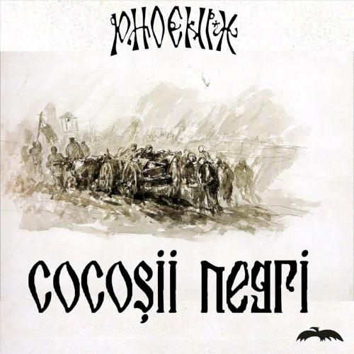 Cocoşii Negri (Live)