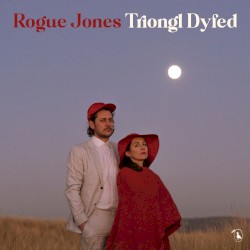 Triongl Dyfed