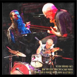 The New Standard Trio: Festival Glatt & Verkehrt, Winzer Krems, 26.07.2015
