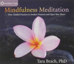 Mindfulness Meditation: Nine Guided Practices to Awaken Presence and Open Your Heart