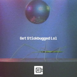 Get Stickbugged Lol