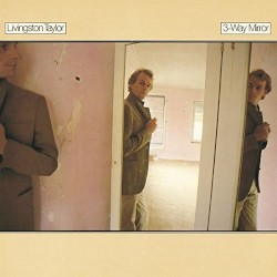 3‐Way Mirror