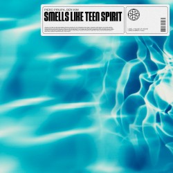 Smells Like Teen Spirit
