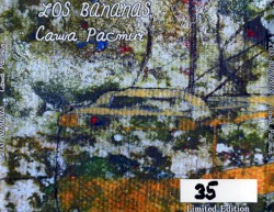 Supplementary CD for Various Purposes