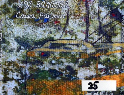Supplementary CD for Various Purposes