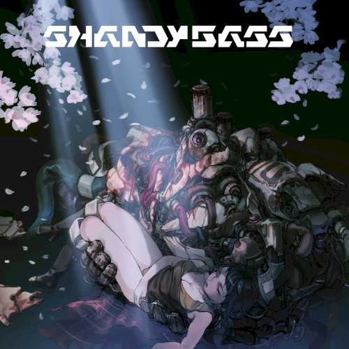ShandyBass