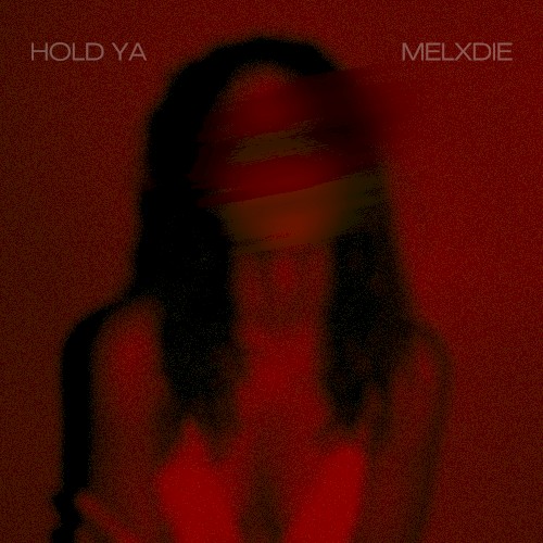 Hold Ya (Over)