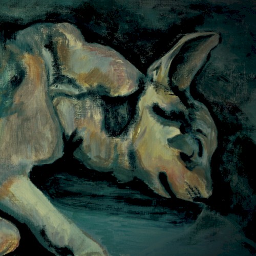 The Wolf