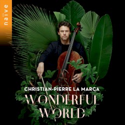 Wonderful World