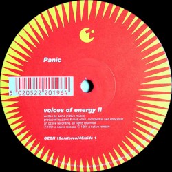 Voices Of Energy II