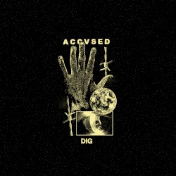 Dig