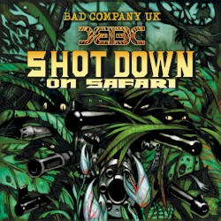 Shot Down on Safari