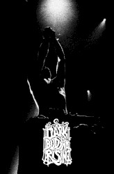 Live at Roadburn 2012