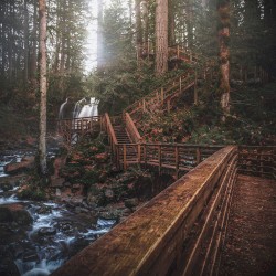 Stairway To Eden