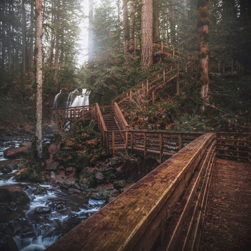 Stairway To Eden