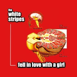 Fell in Love With a Girl
