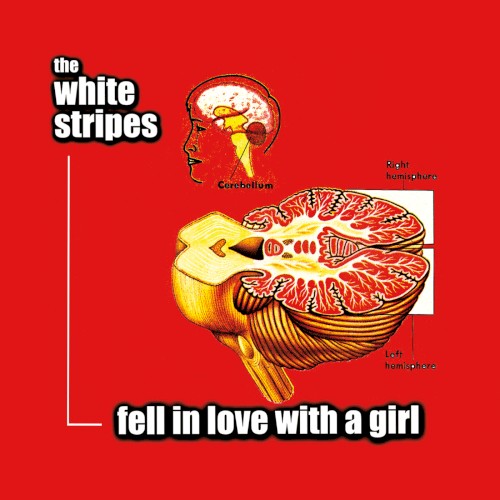 Fell in Love With a Girl