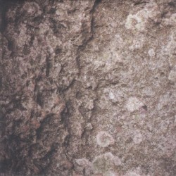 Haloform