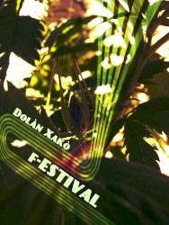f-ESTIVAL