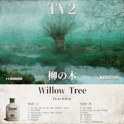 Willow Tree