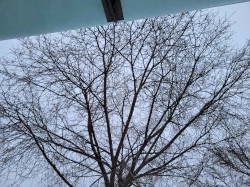 Winter Solstice