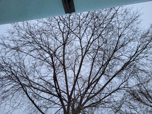 Winter Solstice