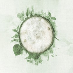 Rebirth