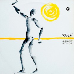 Tai Chi - Gestos De Equilíbrio