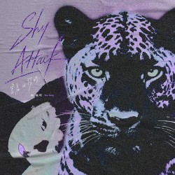 害羞的侵略 / SHY ATTACK
