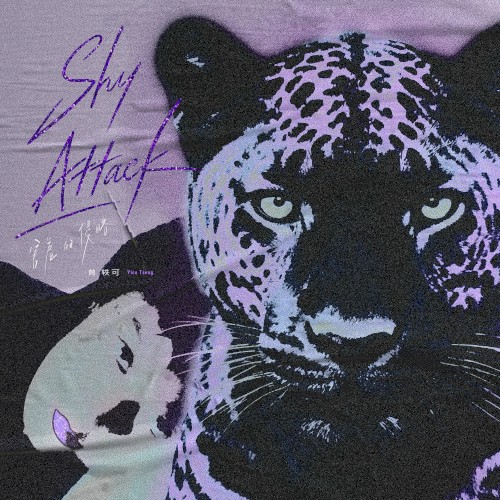 害羞的侵略 / SHY ATTACK