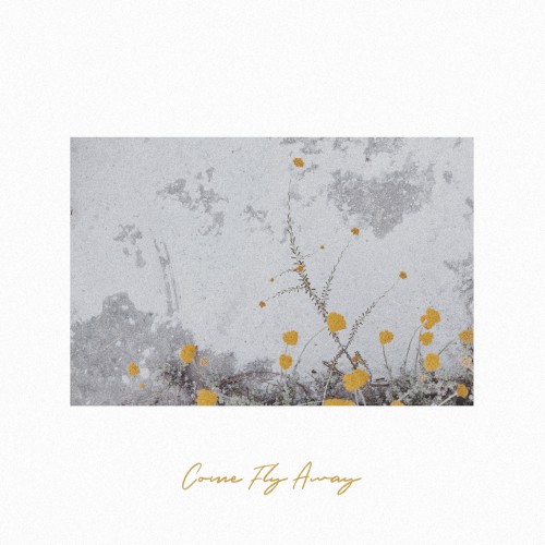 Come Fly Away