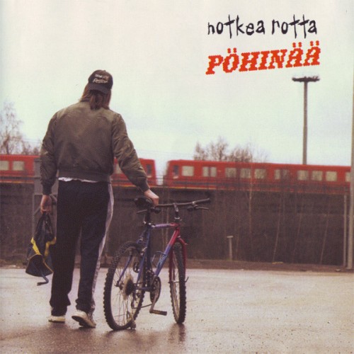 pöhinää