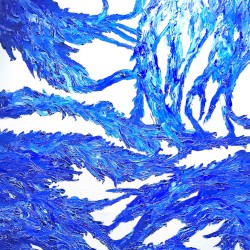 Live Set 06/09/19 (New Arrangement and Improvisation)