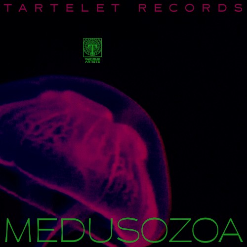 Medusozoa