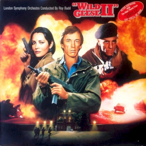 Wild Geese II